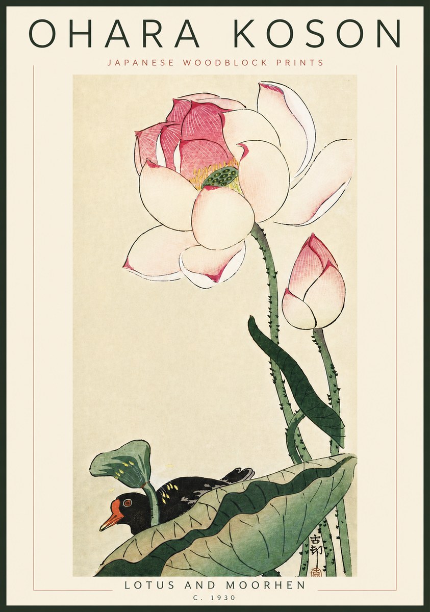 Ohara Koson Lotus and Moorhen No6 - Poszter