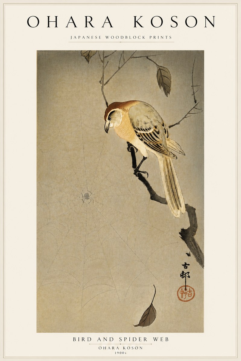 Ohara Koson Bird and Spider Web I No5 - Poszter
