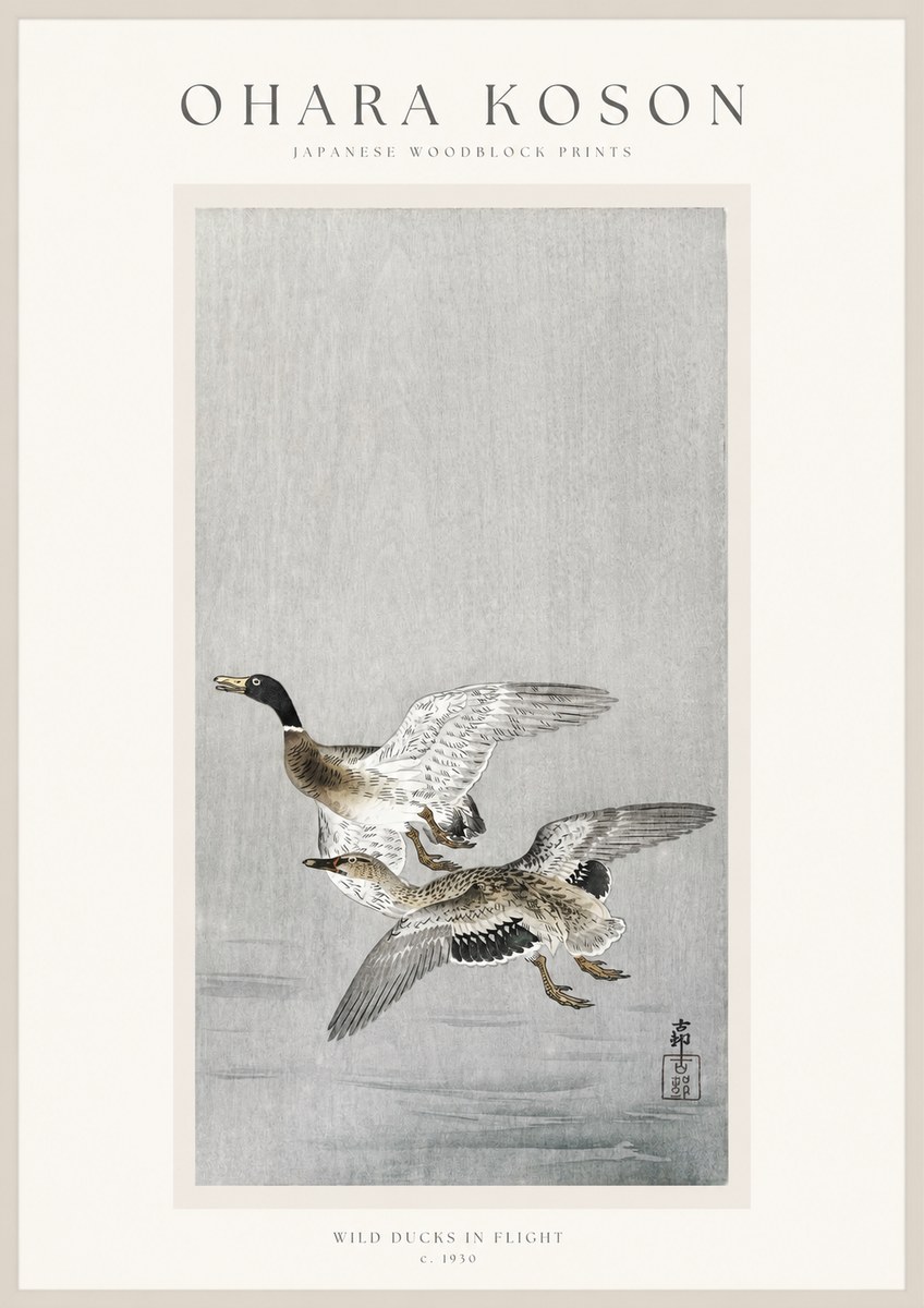 Ohara Koson Wild Ducks in Flight No1 - Poszter