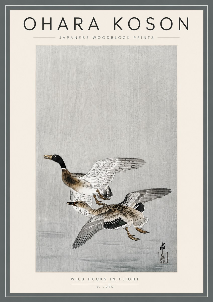 Ohara Koson Wild Ducks in Flight No5 - Poszter