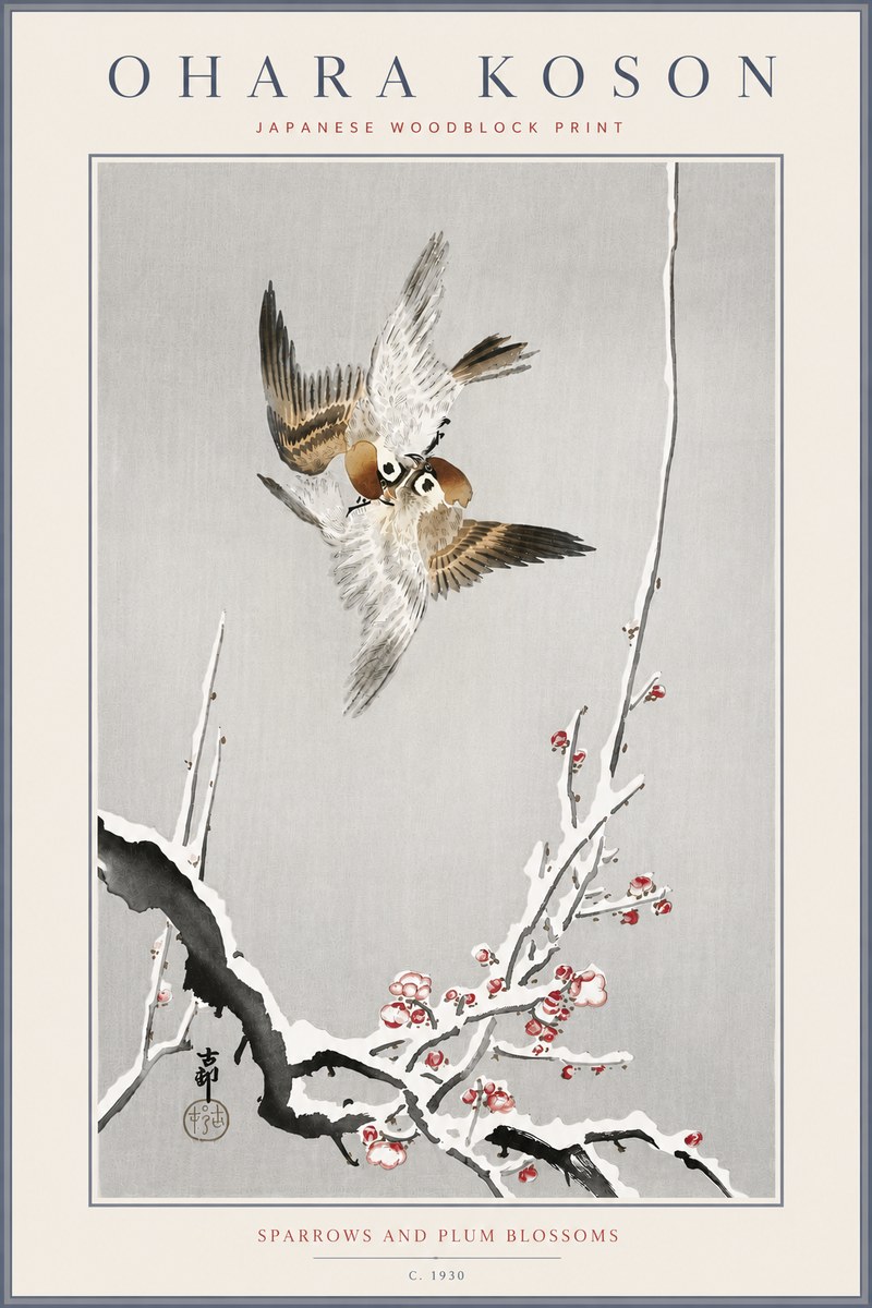 Ohara Koson Sparrows and Plum Blossoms No6 - Poszter