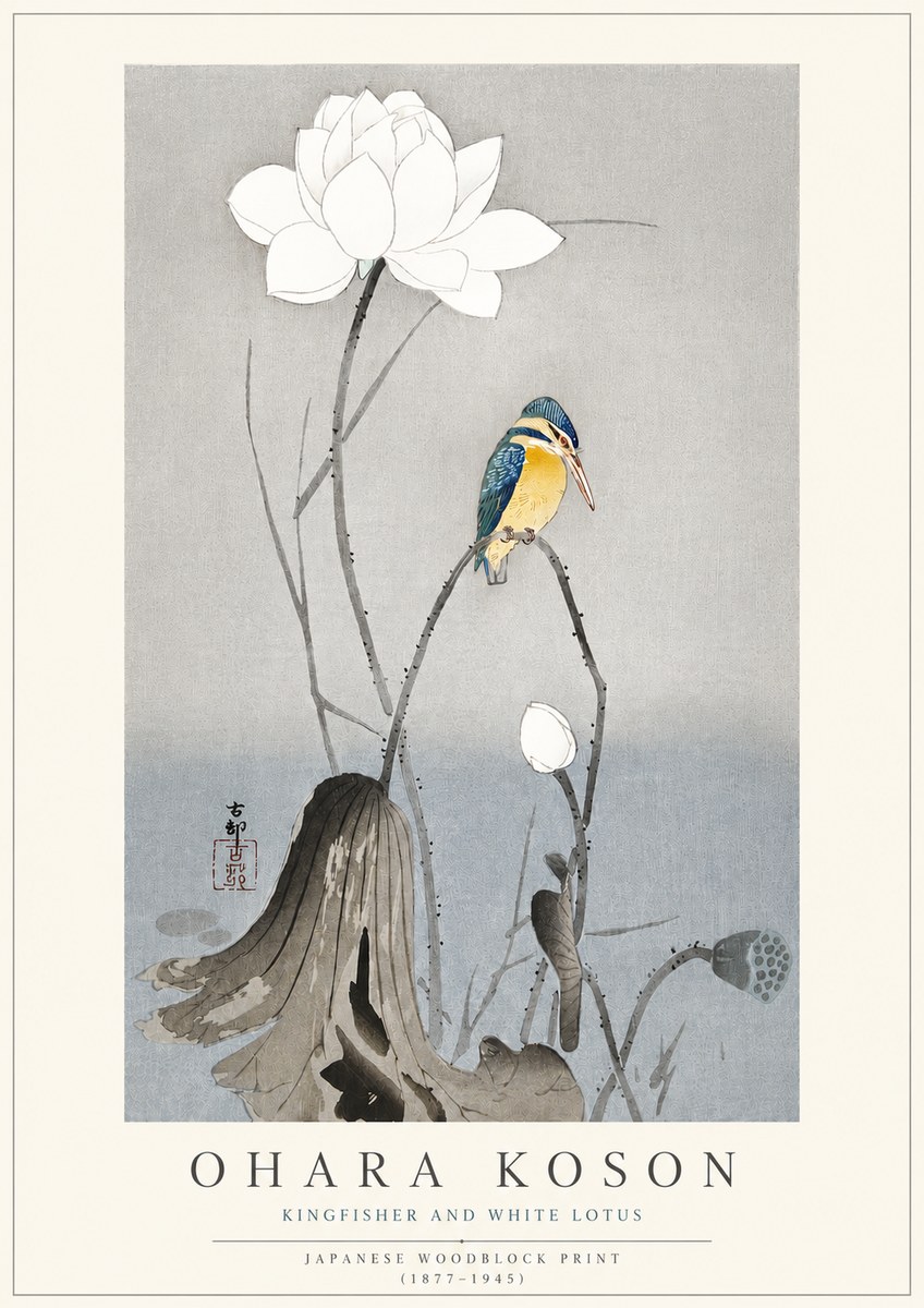 Ohara Koson Kingfisher and White Lotus No3 - Poszter