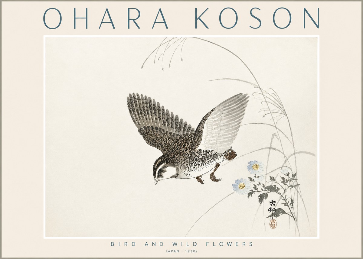 Ohara Koson Bird and Wild Flowers No2 - Poszter