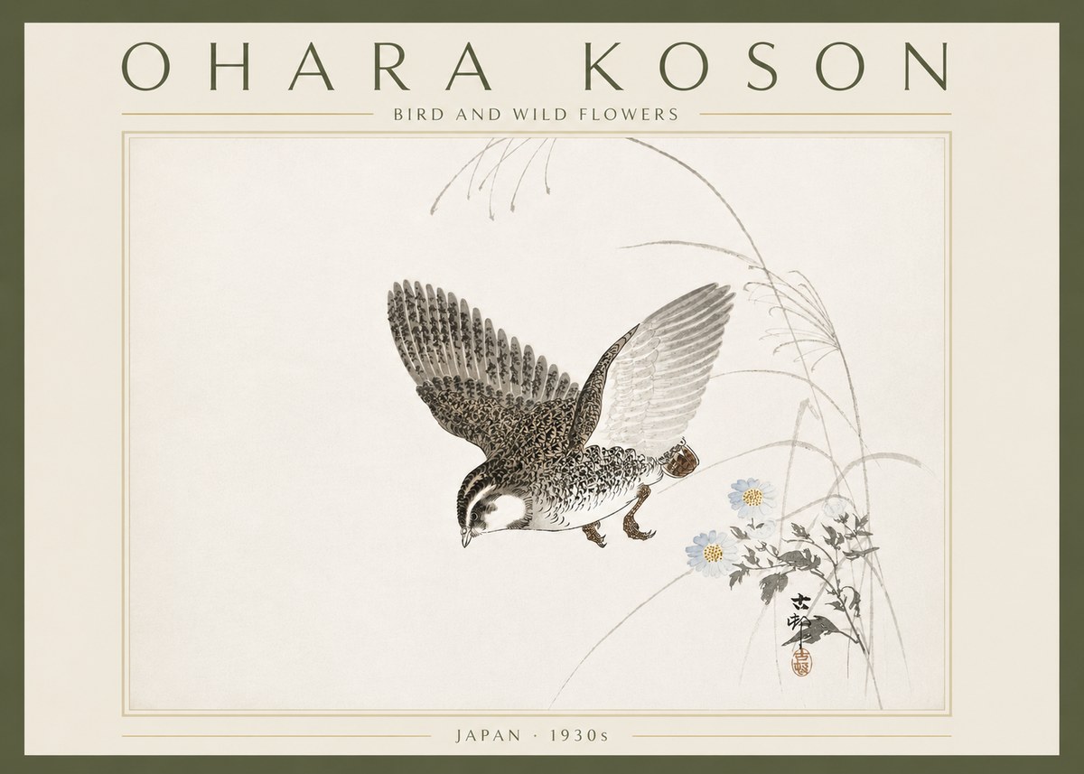 Ohara Koson Bird and Wild Flowers No6 - Poszter