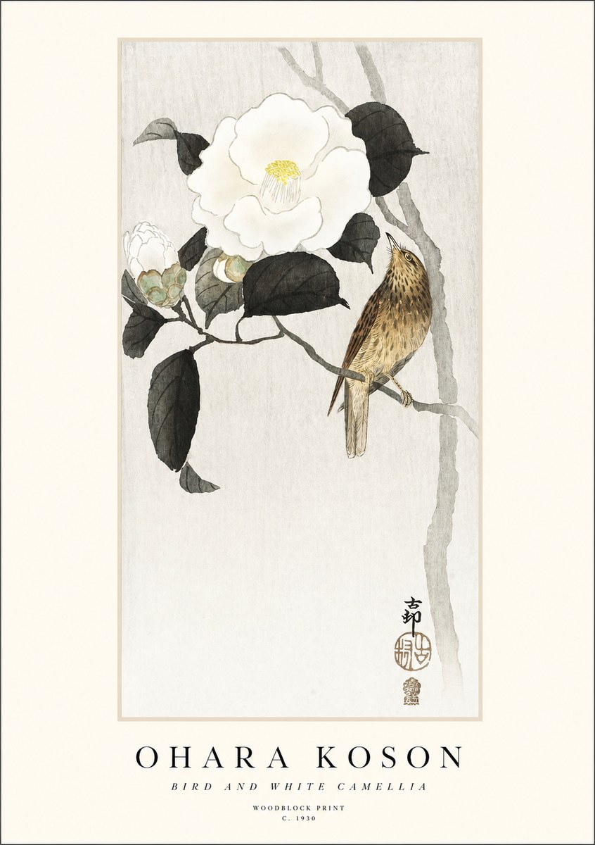 Ohara Koson Bird and White Camellia No1 - Poszter
