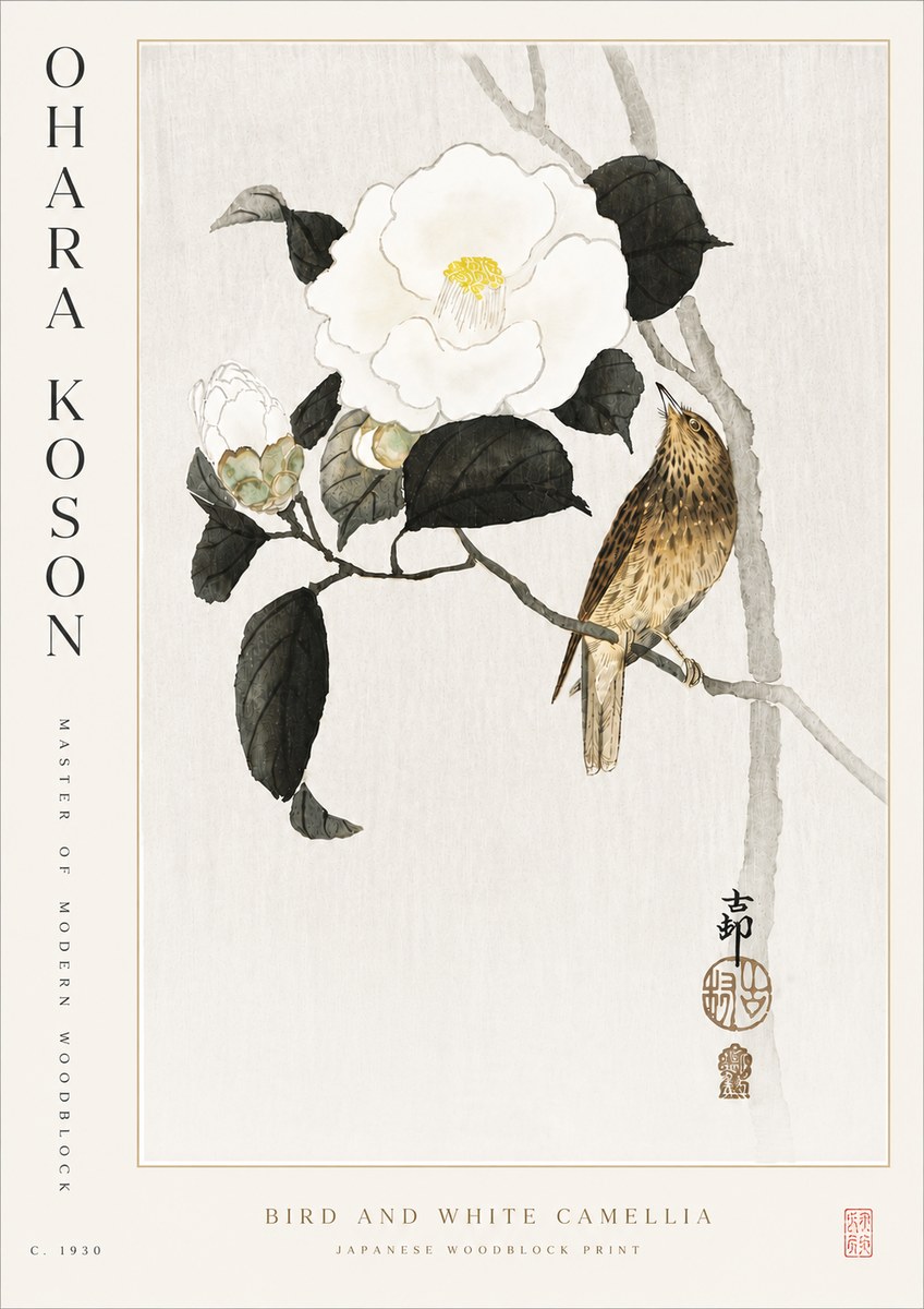 Ohara Koson Bird and White Camellia No5 - Poszter