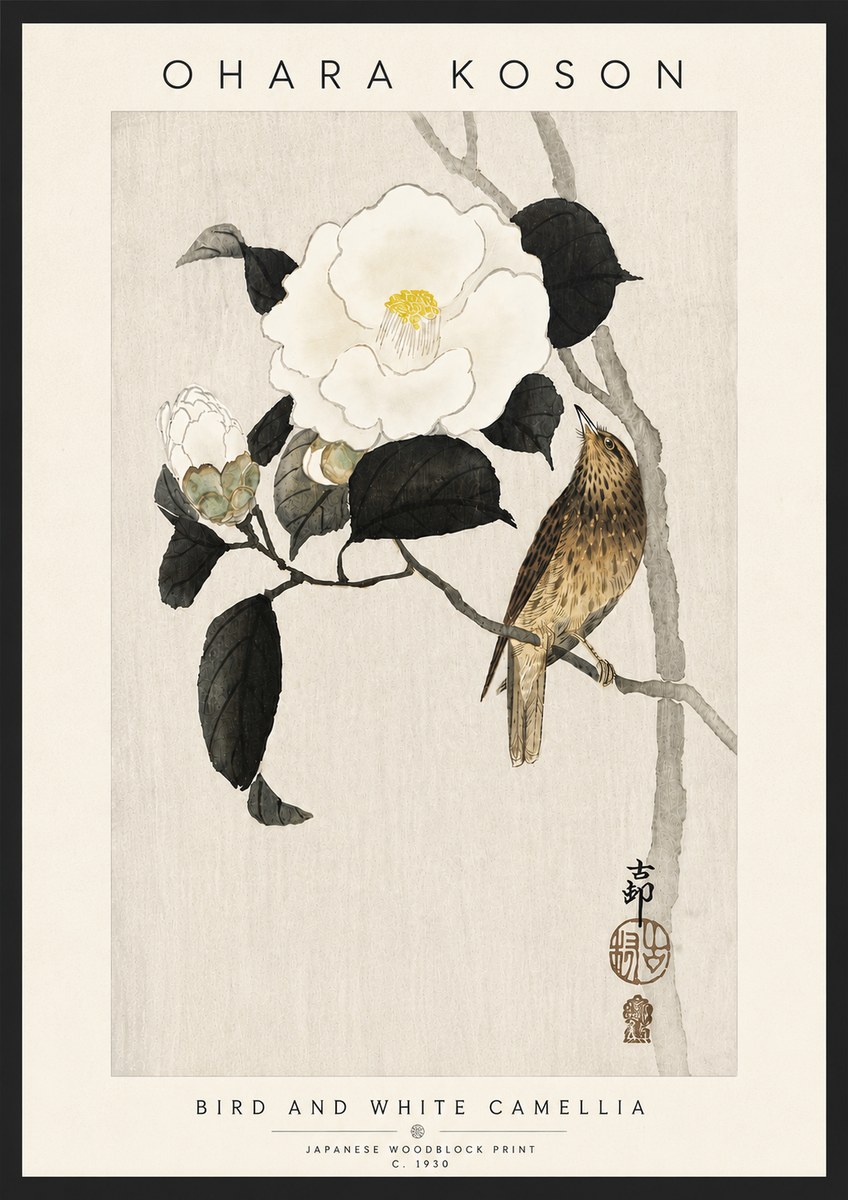Ohara Koson Bird and White Camellia No6 - Poszter