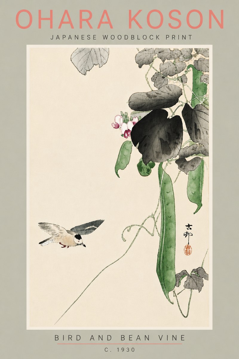 Ohara Koson Bird and Bean Vine No5 - Poszter