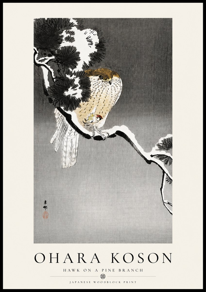 Ohara Koson Hawk on a Pine Branch No4 - Poszter
