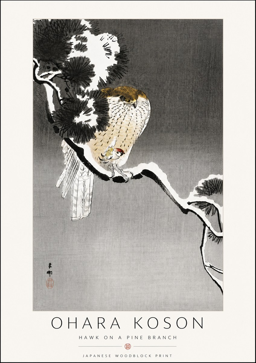 Ohara Koson Hawk on a Pine Branch No6 - Poszter