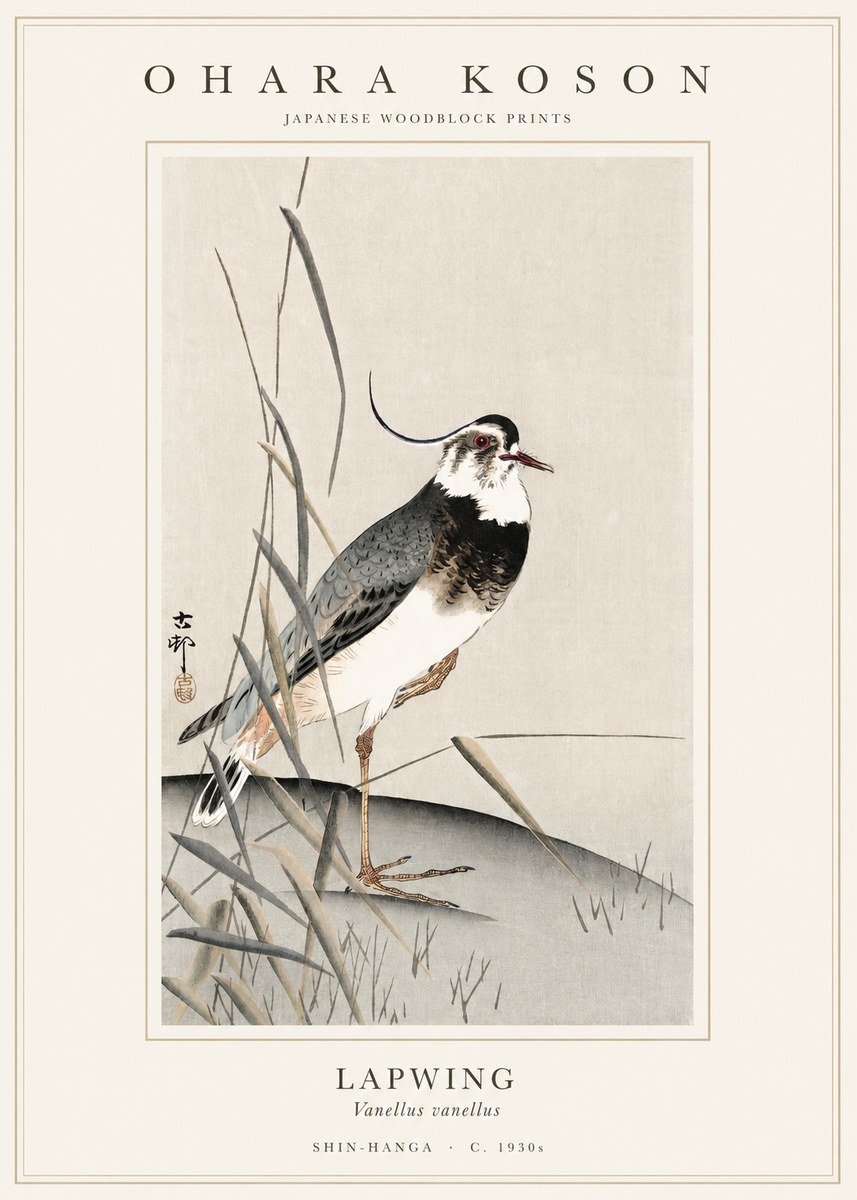Ohara Koson Lapwing No1 - Poszter