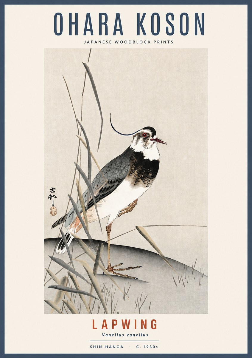 Ohara Koson Lapwing No2 - Poszter