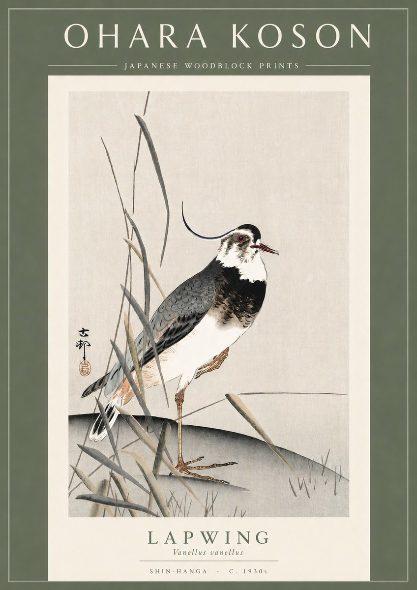 Ohara Koson Lapwing No3 - Poszter