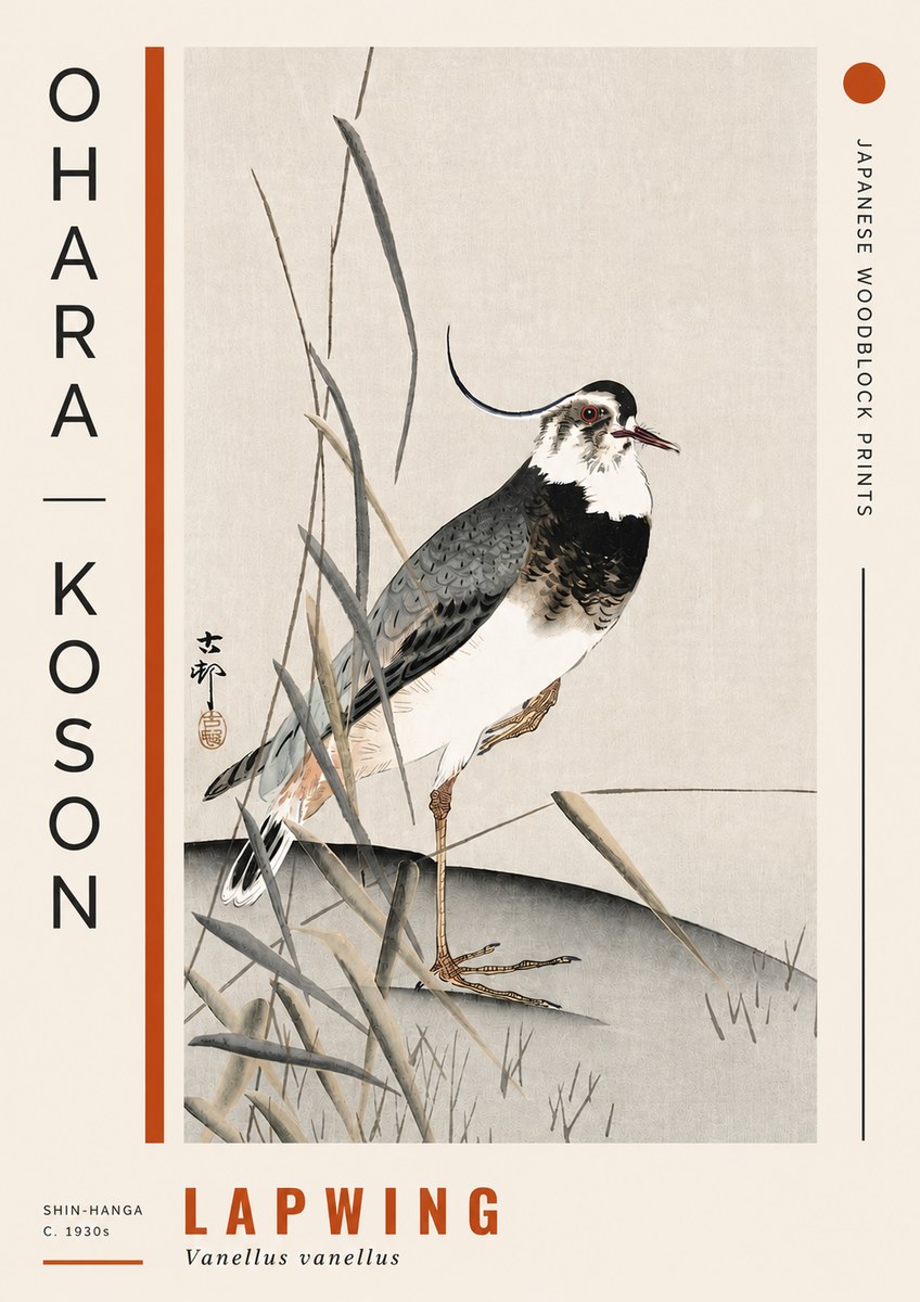 Ohara Koson Lapwing No4 - Poszter