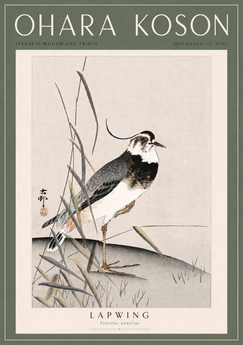 Ohara Koson Lapwing No6 - Poszter