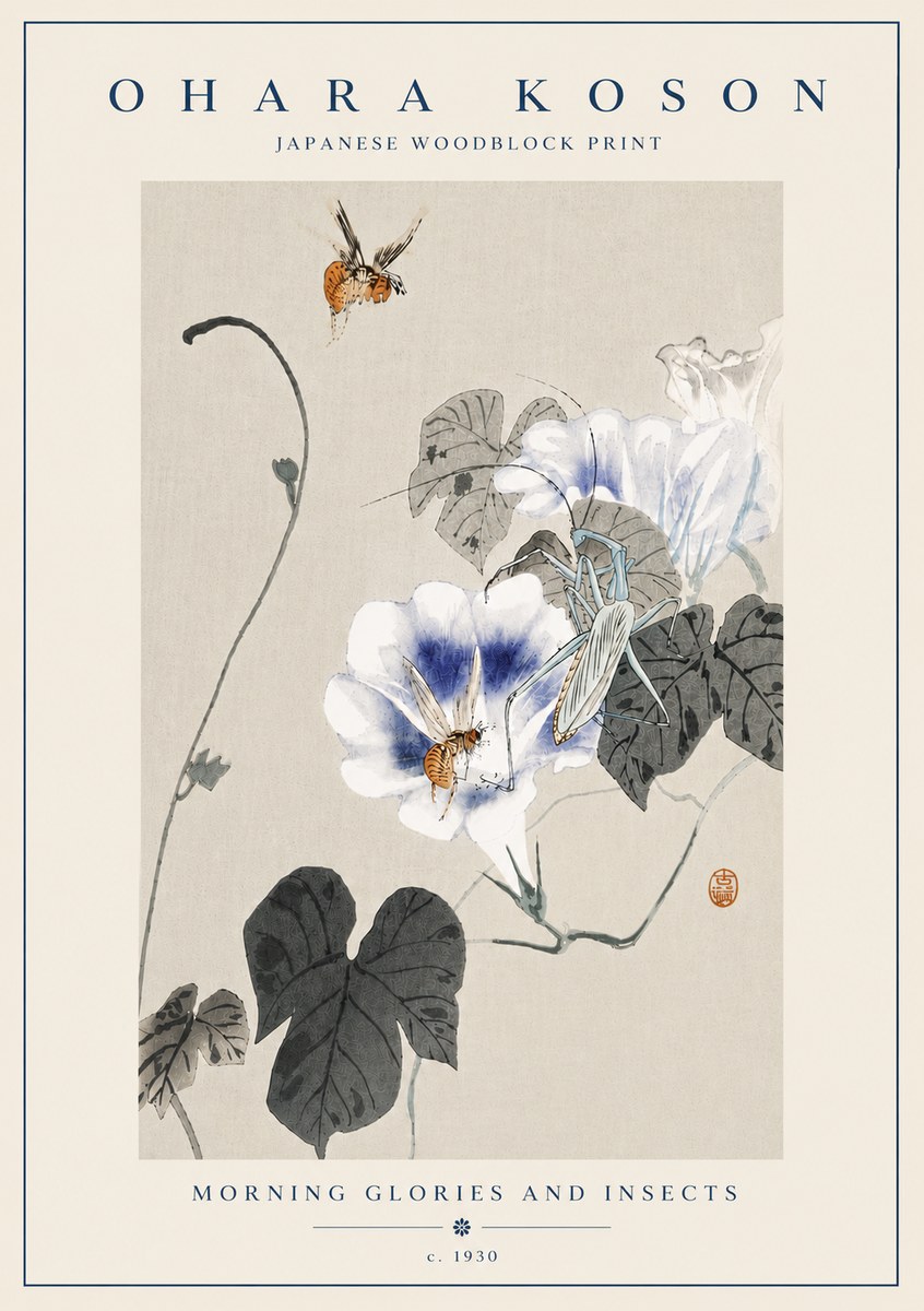 Ohara Koson Morning Glories and Insects No6 - Poszter