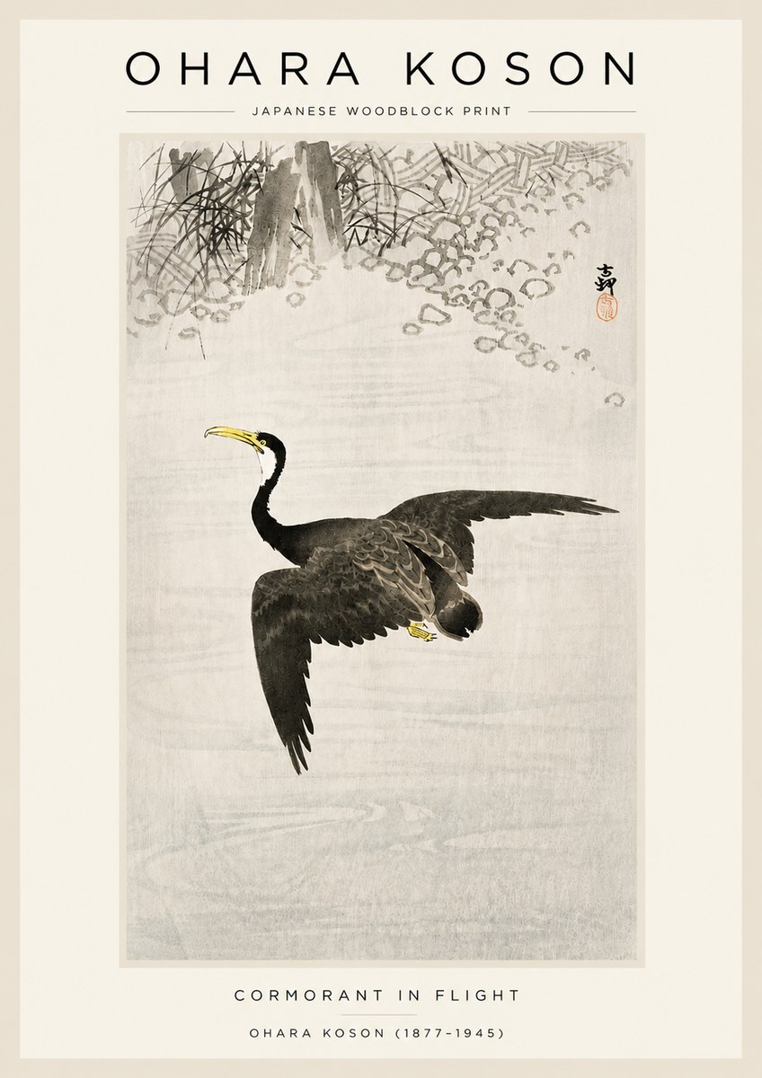 Ohara Koson Cormorant in Flight No3 - Poszter