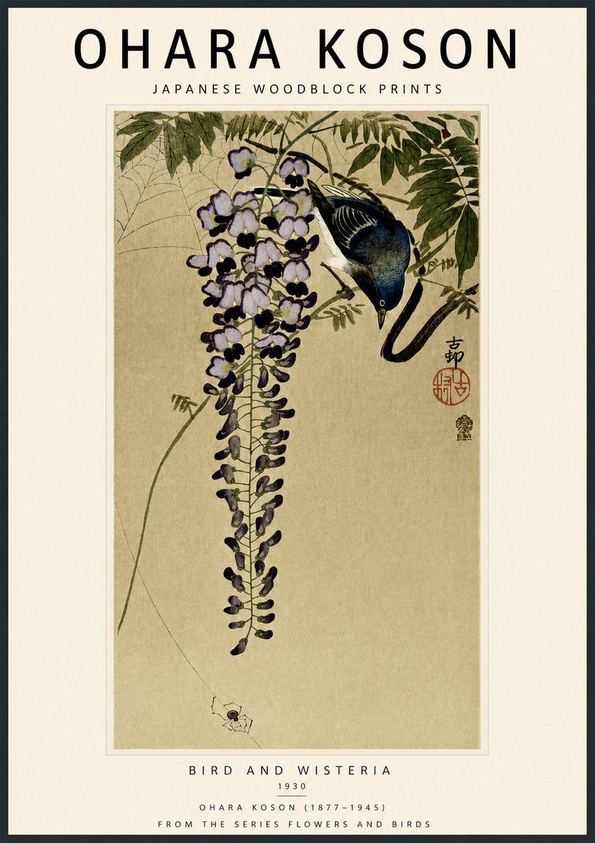 Ohara Koson Bird and Wisteria No5 - Poszter