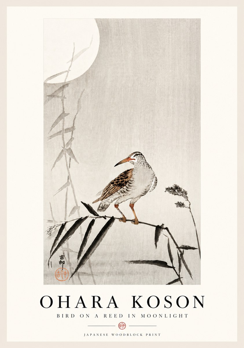 Ohara Koson Bird on a Reed in Moonlight No4 - Poszter