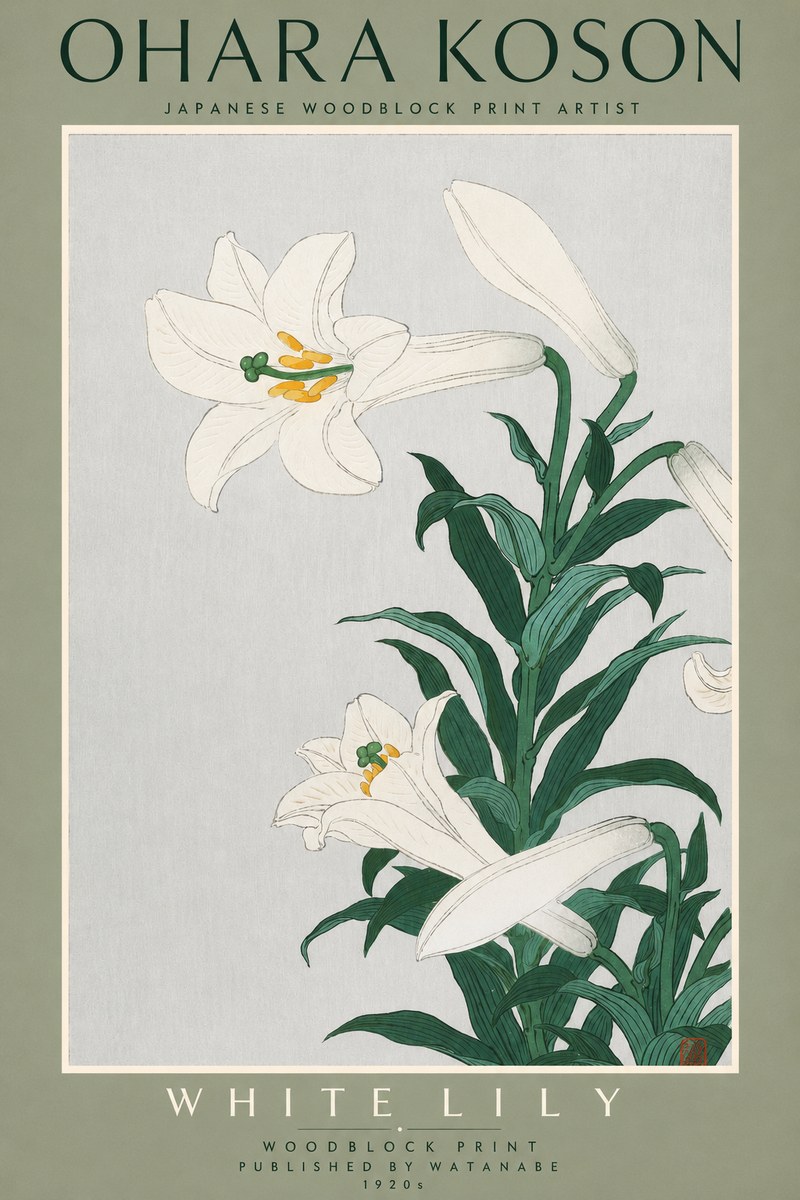 Ohara Koson White Lily No2 - Poszter