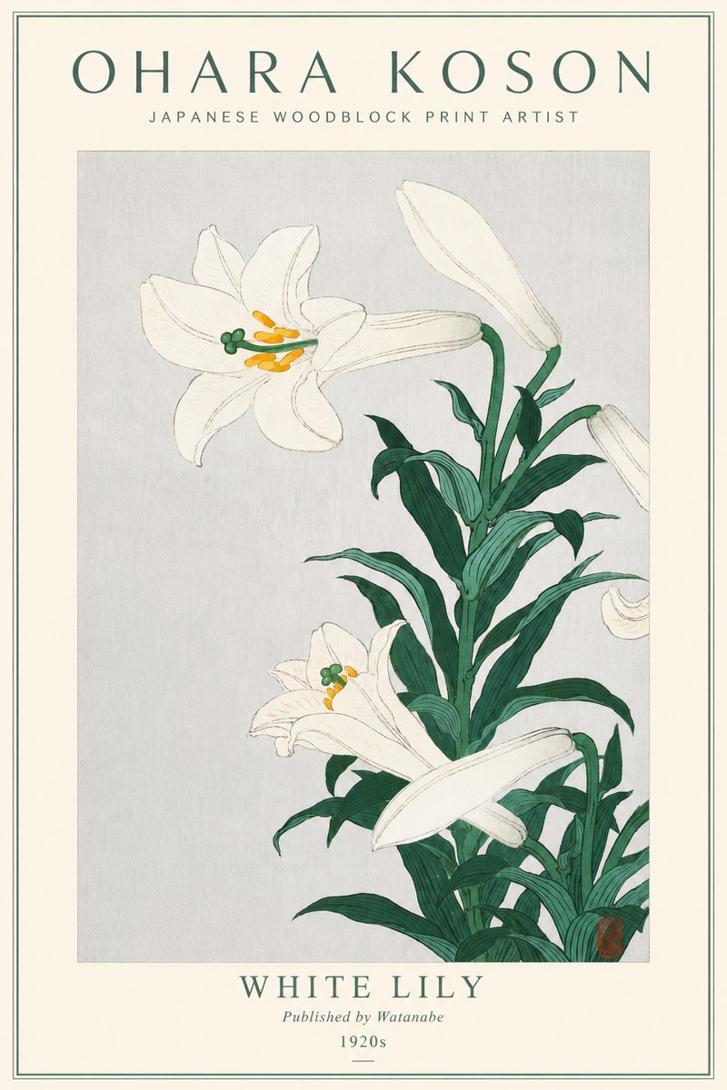 Ohara Koson White Lily No3 - Poszter