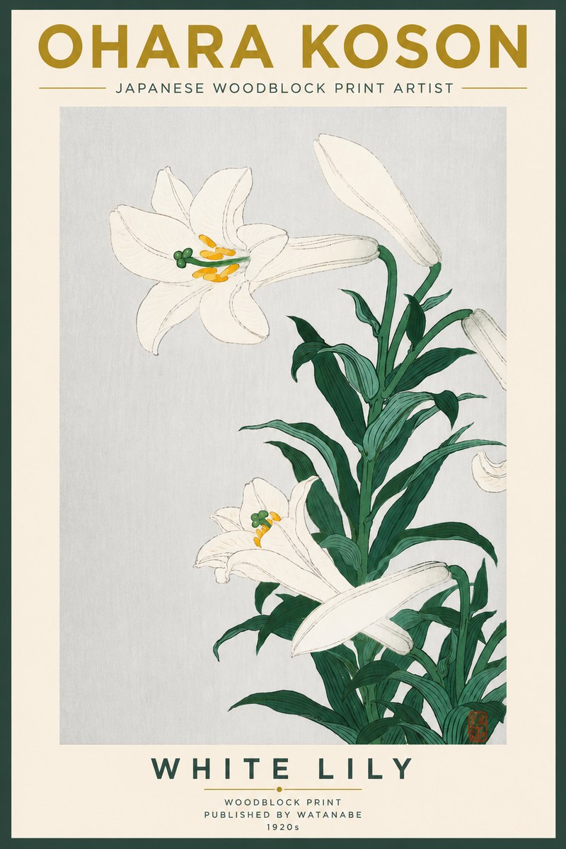 Ohara Koson White Lily No5 - Poszter