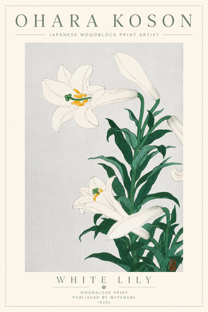 Ohara Koson White Lily No6 - Poszter