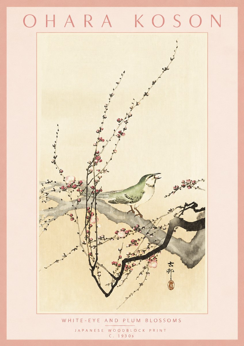 Ohara Koson White-eye and Plum Blossoms No3 - Poszter