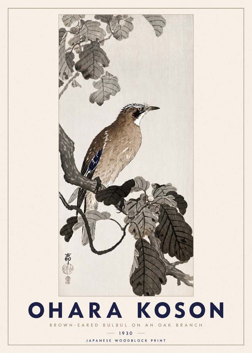 Ohara Koson Brown-eared Bulbul on an Oak Branch No3 - Poszter