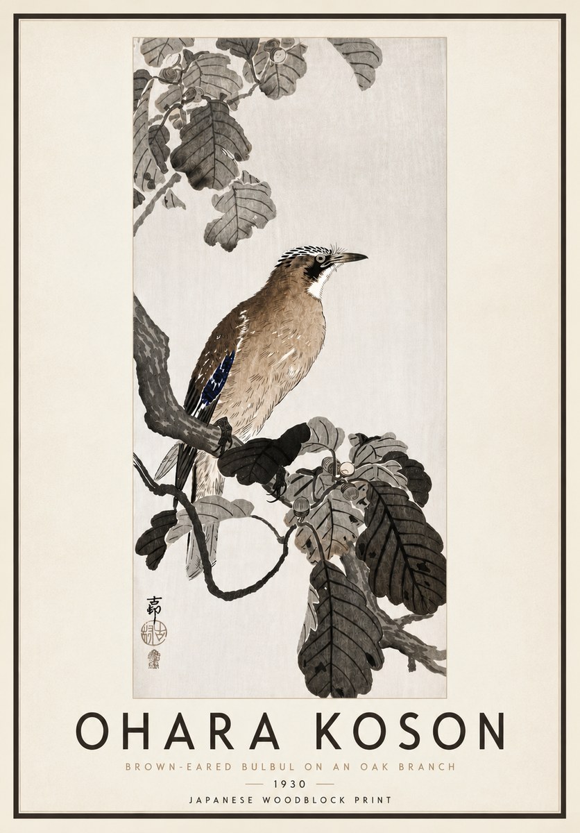 Ohara Koson Brown-eared Bulbul on an Oak Branch No4 - Poszter