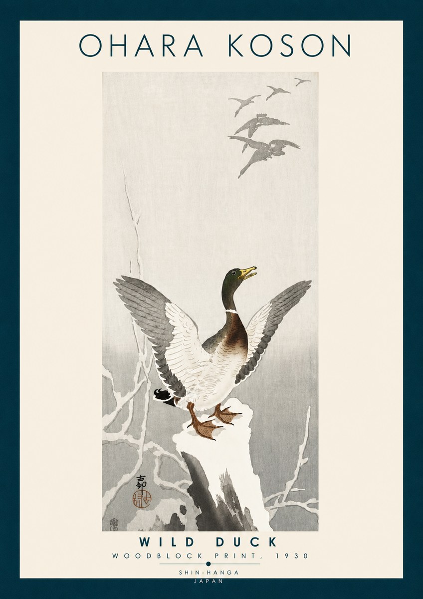 Ohara Koson Wild Duck No6 - Poszter