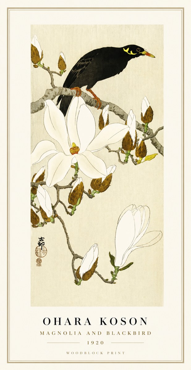 Ohara Koson Magnolia and Blackbird No1 - Poszter