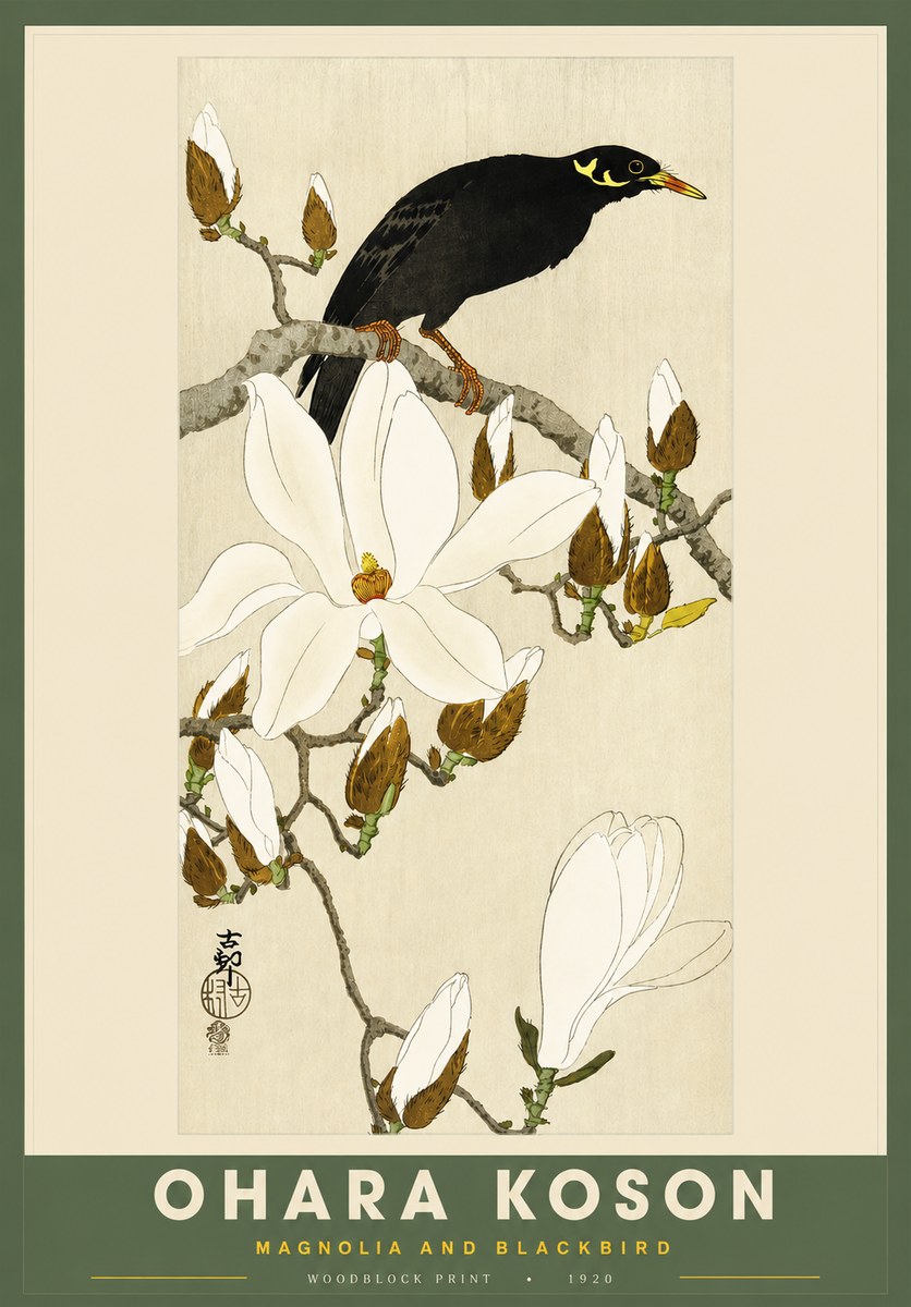 Ohara Koson Magnolia and Blackbird No2 - Poszter