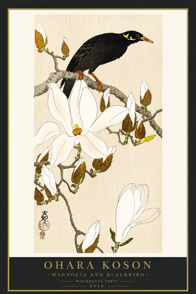 Ohara Koson Magnolia and Blackbird No4 - Poszter