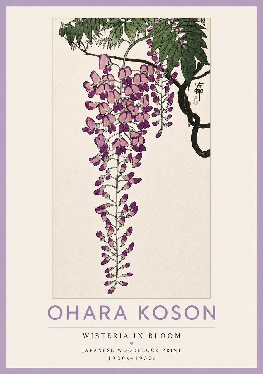 Ohara Koson Wisteria in Bloom No4 - Poszter