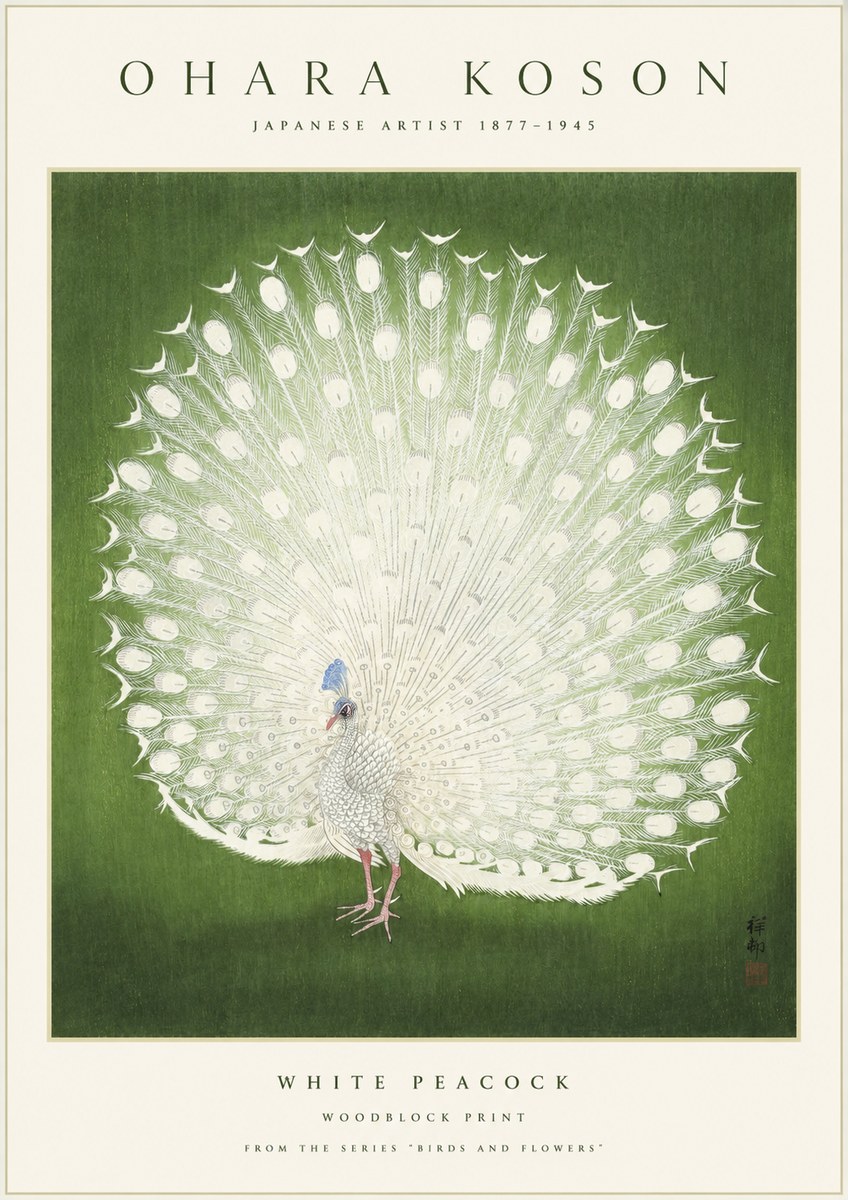 Ohara Koson White Peacock No1 - Poszter