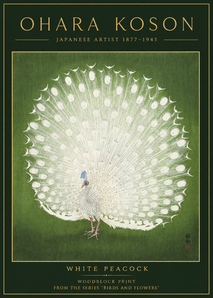 Ohara Koson White Peacock No2 - Poszter