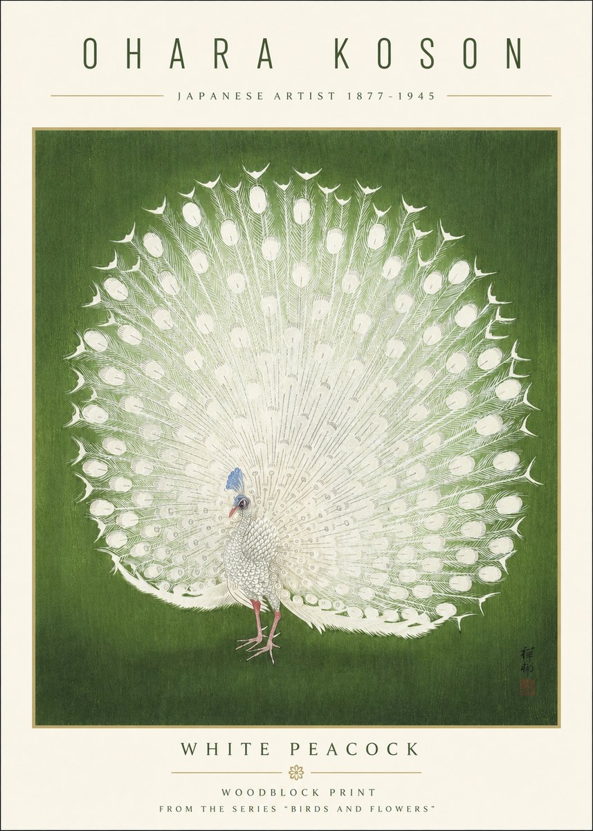 Ohara Koson White Peacock No3 - Poszter