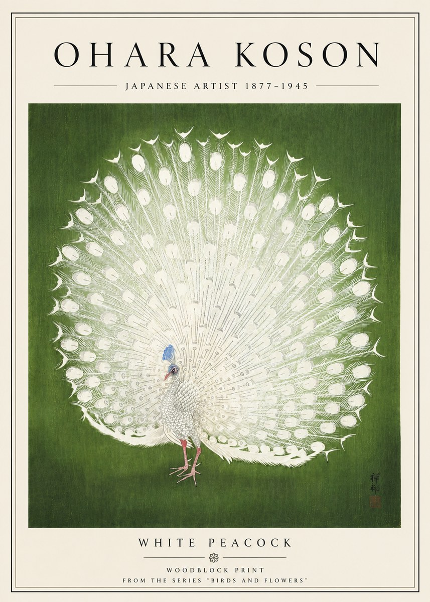 Ohara Koson White Peacock No5 - Poszter