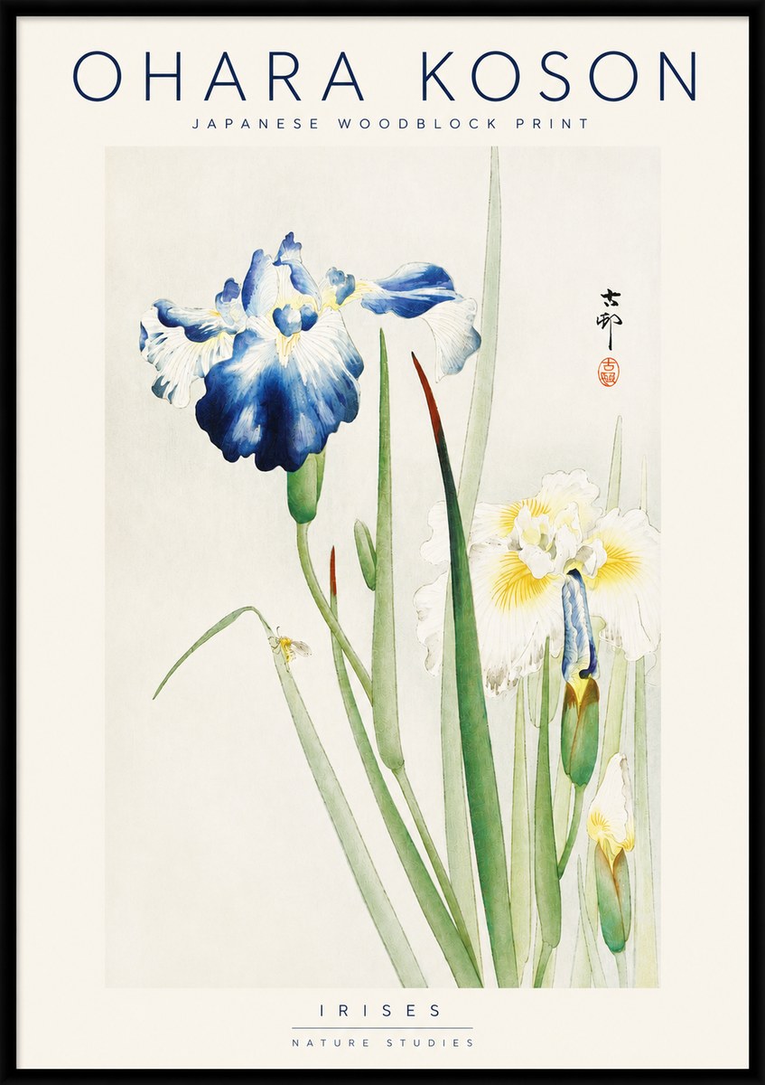 Ohara Koson Irises II No3 - Poszter