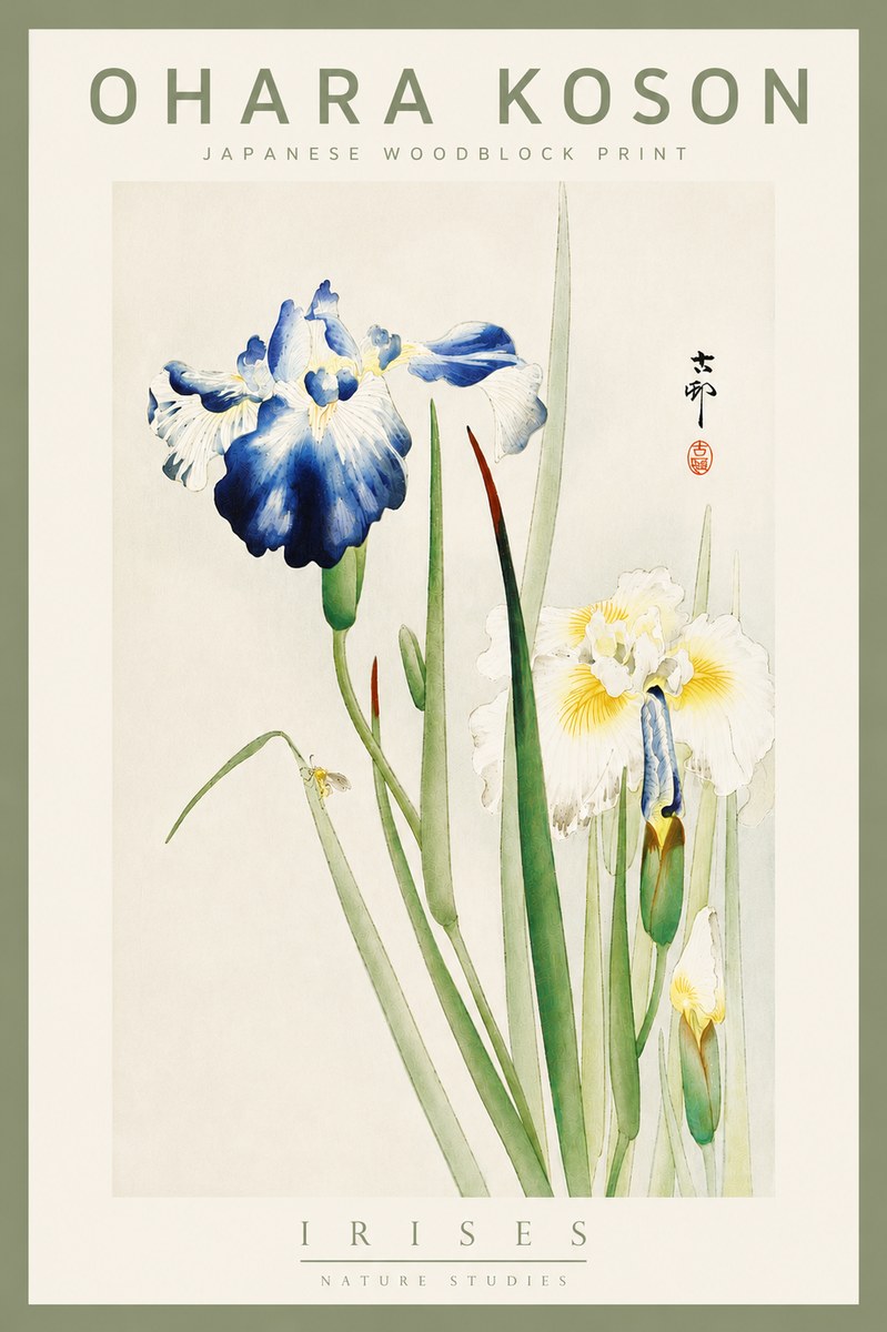 Ohara Koson Irises II No5 - Poszter