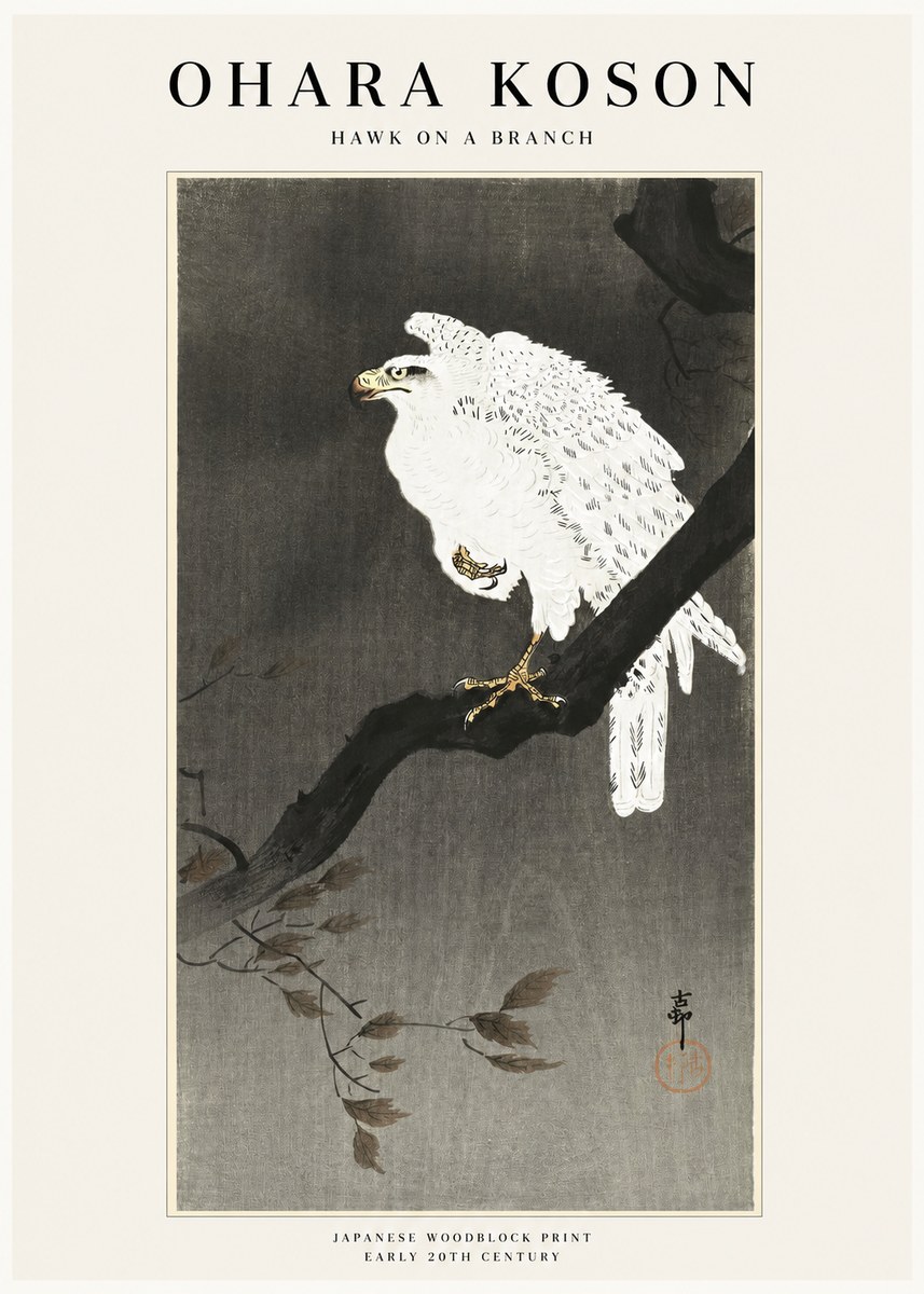 Ohara Koson Hawk on a Branch II No1 - Poszter