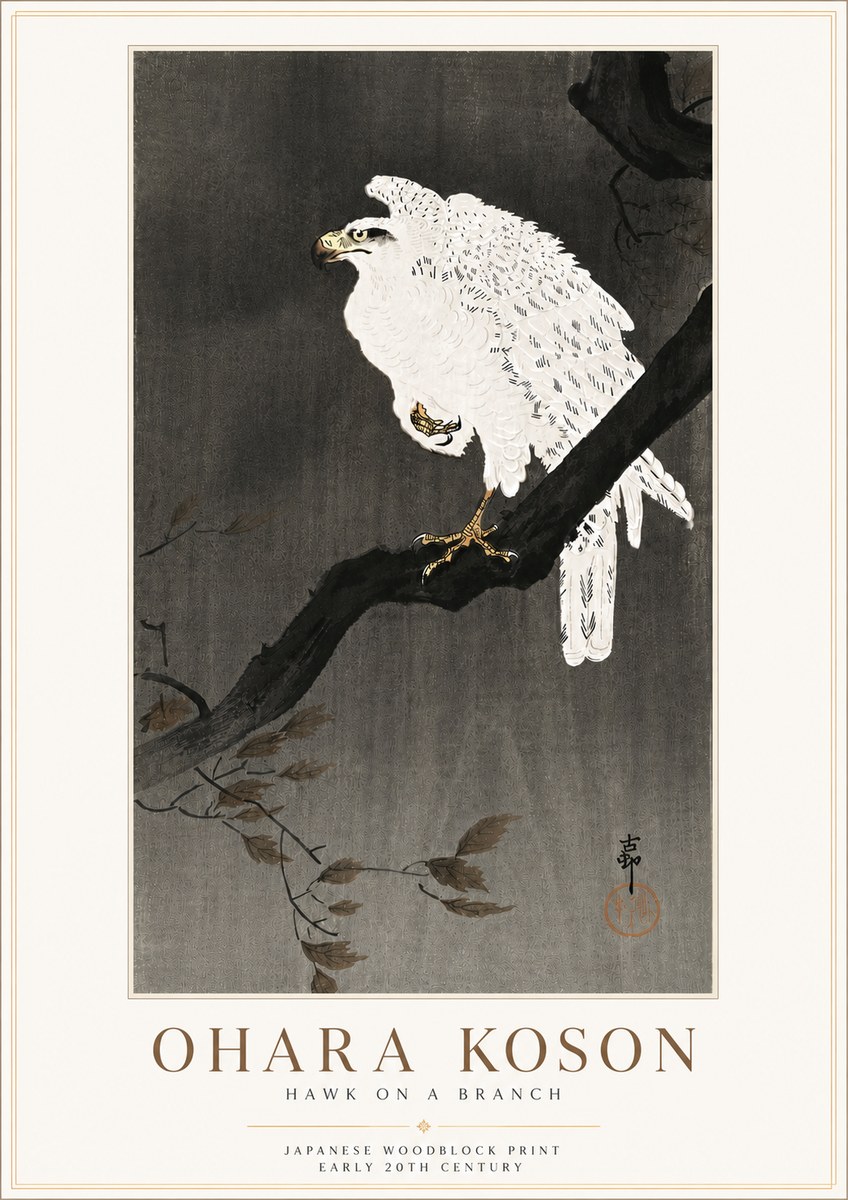 Ohara Koson Hawk on a Branch II No6 - Poszter