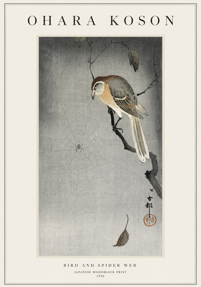 Ohara Koson Bird and Spider Web II No1 - Poszter