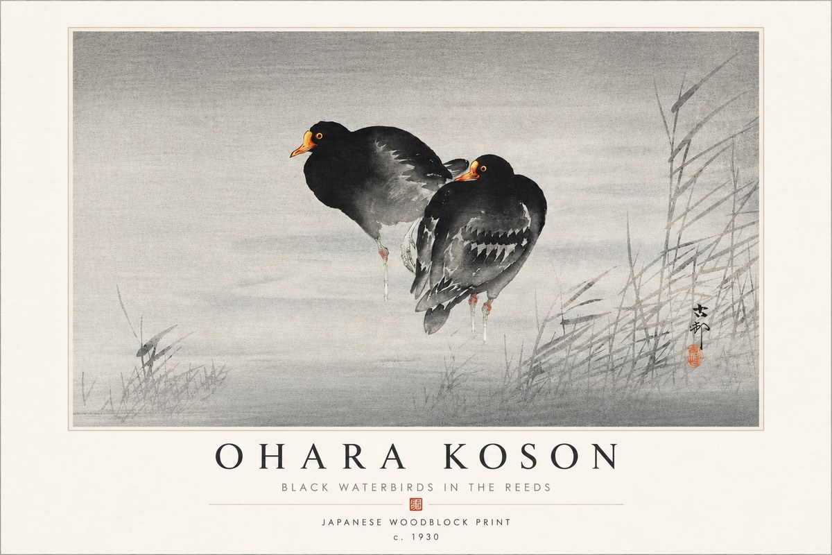 Ohara Koson Black Waterbirds in the Reeds No4 - Poszter