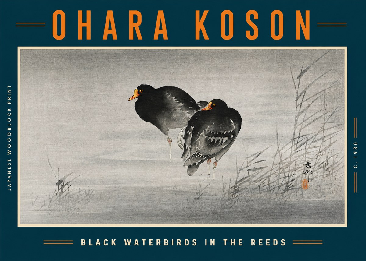 Ohara Koson Black Waterbirds in the Reeds No5 - Poszter