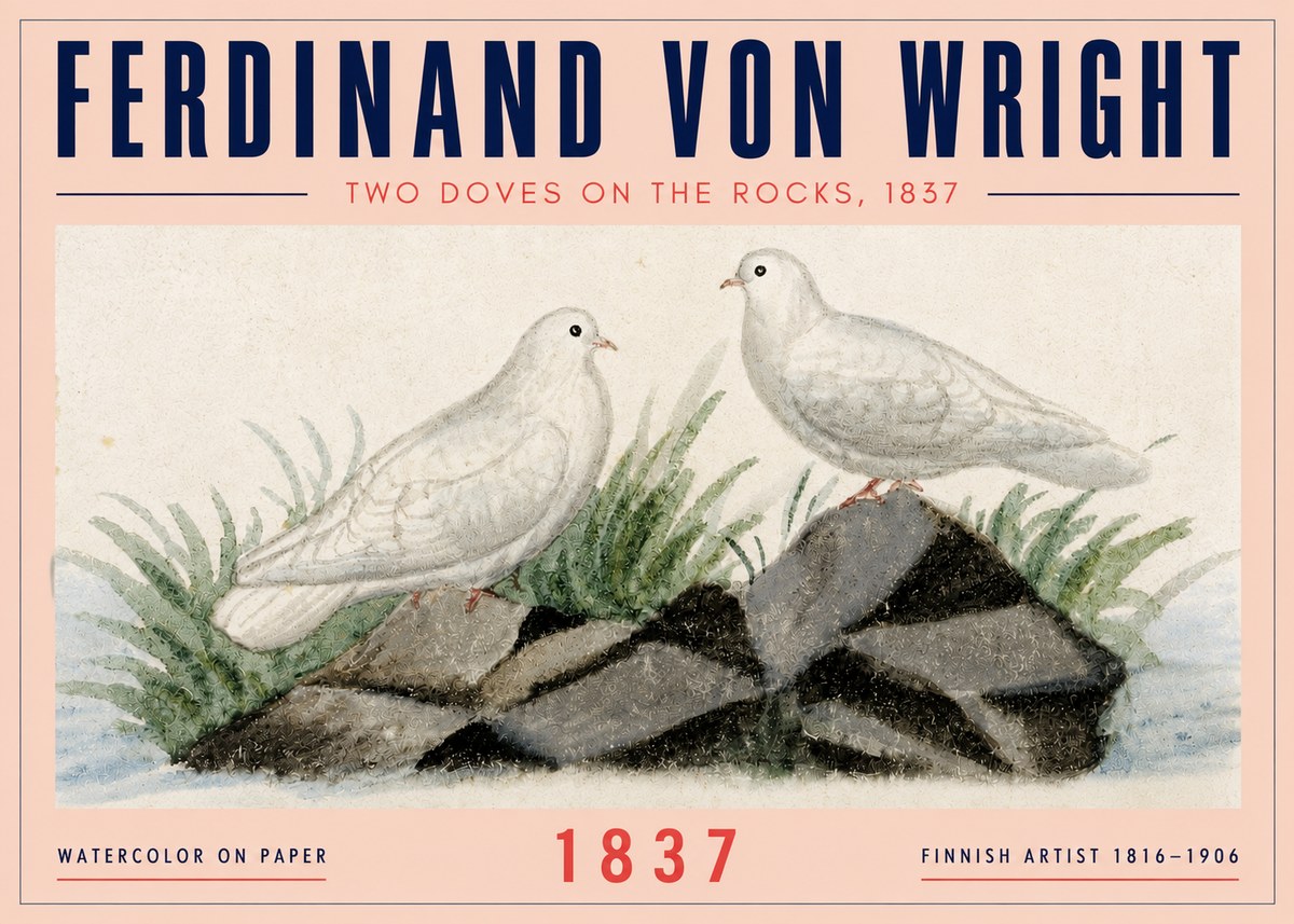 Ferdinand von Wright Two Doves on the Rocks, 1837 No4 - Poszter