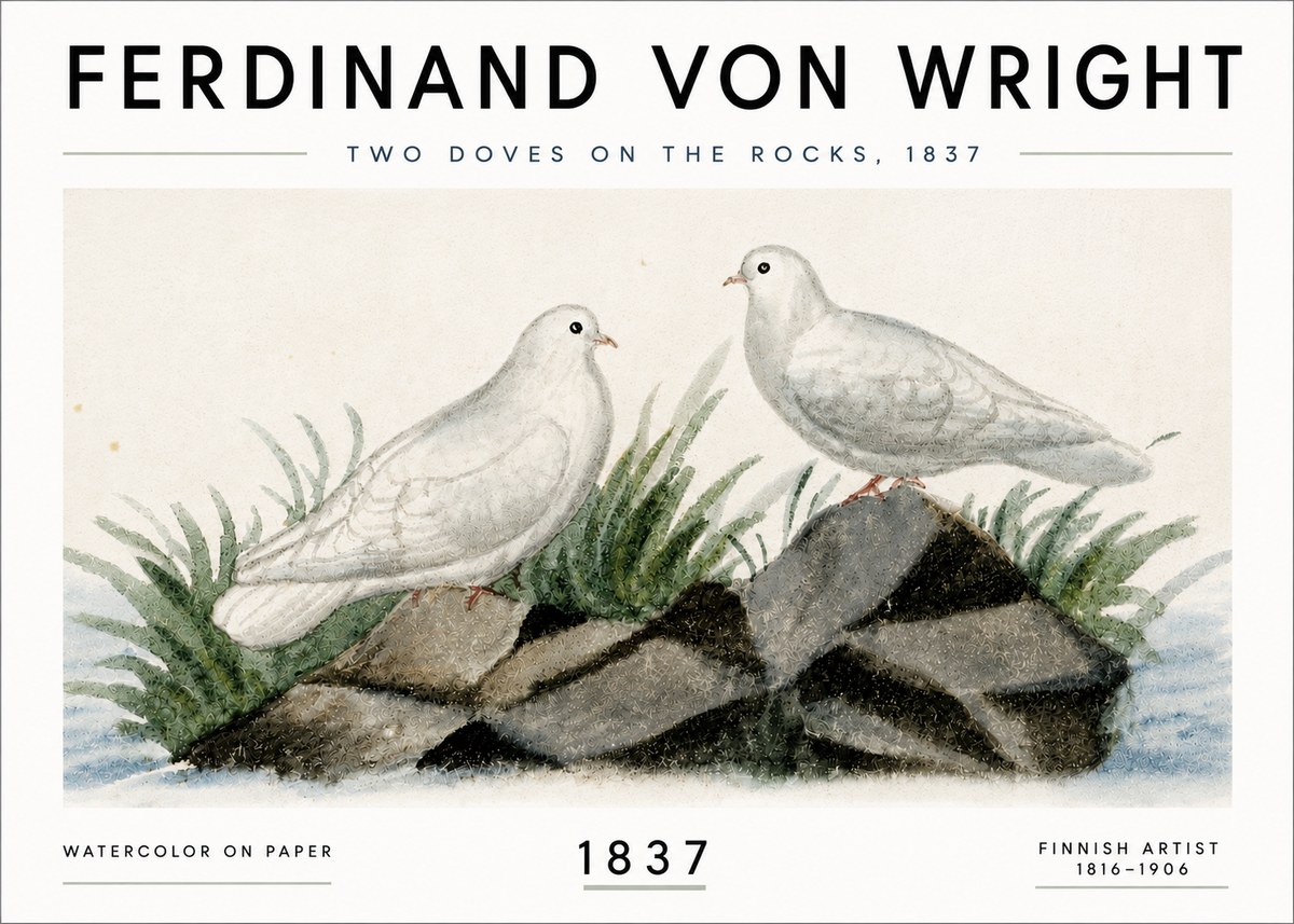 Ferdinand von Wright Two Doves on the Rocks, 1837 No6 - Poszter