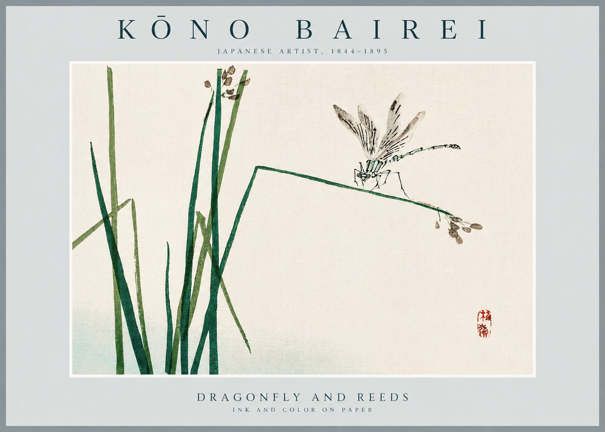 Kōno Bairei Dragonfly and Reeds No2 - Poszter