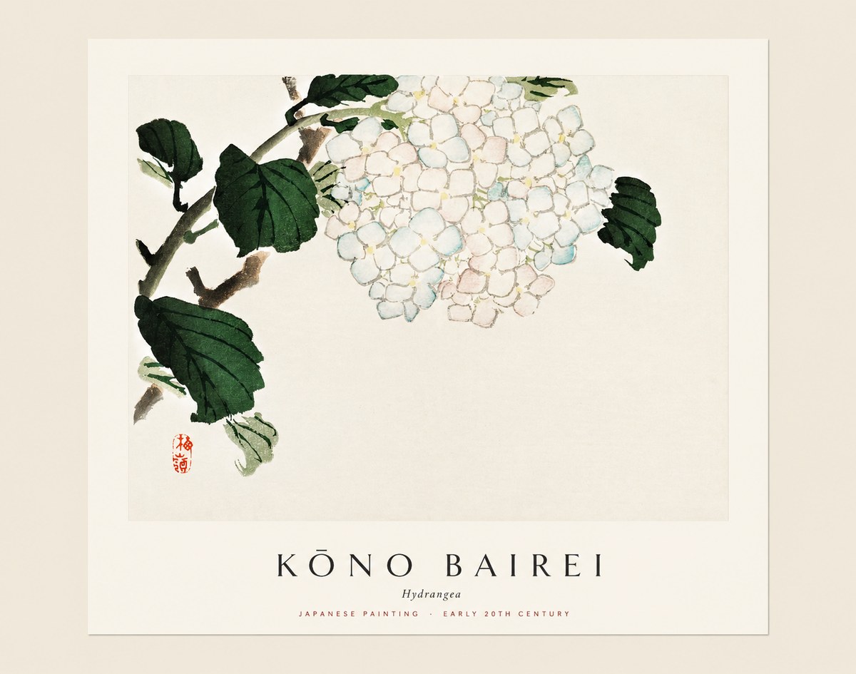 Kōno Bairei Hydrangea No1 - Poszter